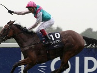 PREVIEW & TRIFECTA - Enable Draws Best Stall In The Arc