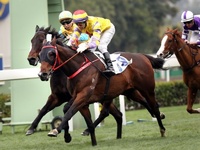 Preview: Hong Kong Derby 2018