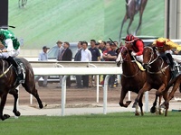 Cruz hoping for stable trifecta in Champions & Chater Cup
