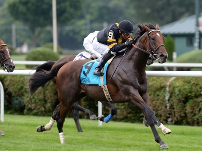 CASSE, MOTT, PLETCHER &amp; WARD AMONG STRONG US-TRAINED ROYAL A ... Image 9