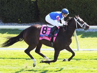 CASSE, MOTT, PLETCHER &amp; WARD AMONG STRONG US-TRAINED ROYAL A ... Image 7