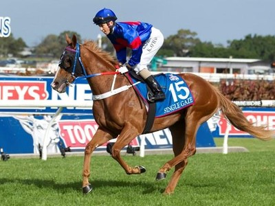 Preview &amp; Trifecta - Caulfield Cup 2017 Image 10