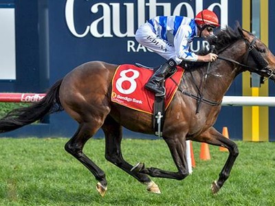 Preview &amp; Trifecta - Caulfield Cup 2017 Image 15