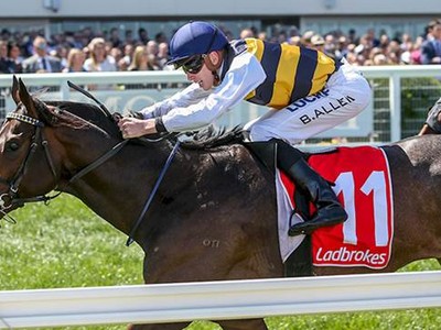 Preview &amp; Trifecta - Caulfield Cup 2017 Image 17