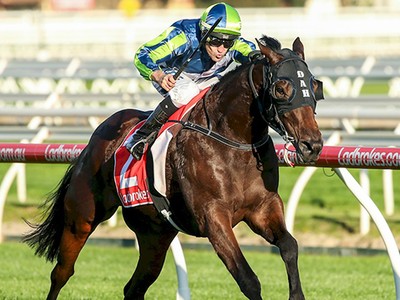 Preview &amp; Trifecta - Caulfield Cup 2017 Image 5