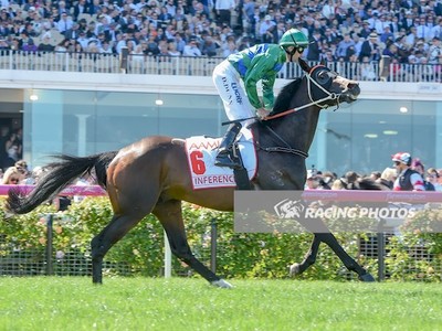 Preview &amp; Trifecta - Caulfield Cup 2017 Image 9