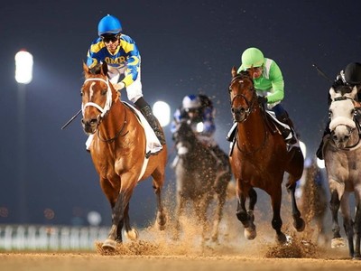 Al Zahir Punches Ticket To Kahayla Classic Image 2