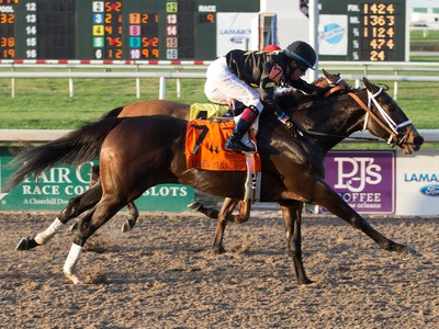 Preview: Gr.1 Belmont Stakes 2018 Image 2