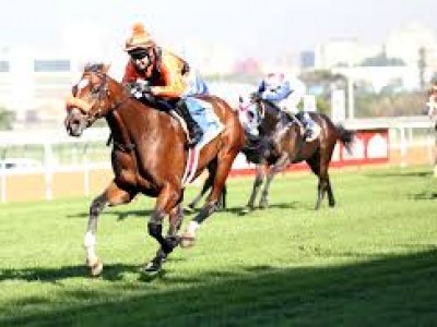 Preview: Durban July 2018 Image 3