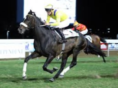 Preview: Durban July 2018 Image 2