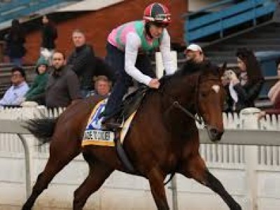 Review: Durban July 2018 Image 2