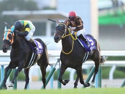 Preview: Gr.1 Queen Elizabeth II Cup ( Horses, Analysis, Whe ... Image 1