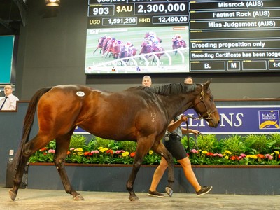 Review: Magic Millions National Broodmare Sale 2019 Image 1