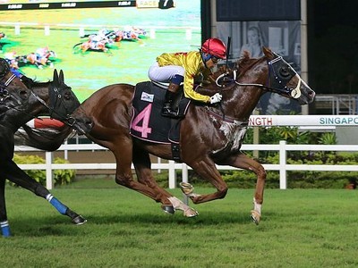 Sun Stud Marshall To Victory In Singapore Derby Image 1