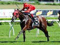 McEvoy and Redzel A Partnership Made In Heaven