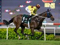 Southern Legend To Remain In HK To Race In Gr.2 Chairman’s Trophy