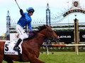 Godolphin owned-Bivouac on target for TJ Smith Stakes