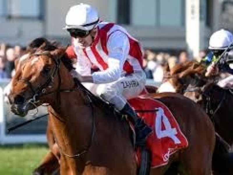 Preview: Gr.1 All Aged Stakes ( Horses, Racecard, 2019 Video ...