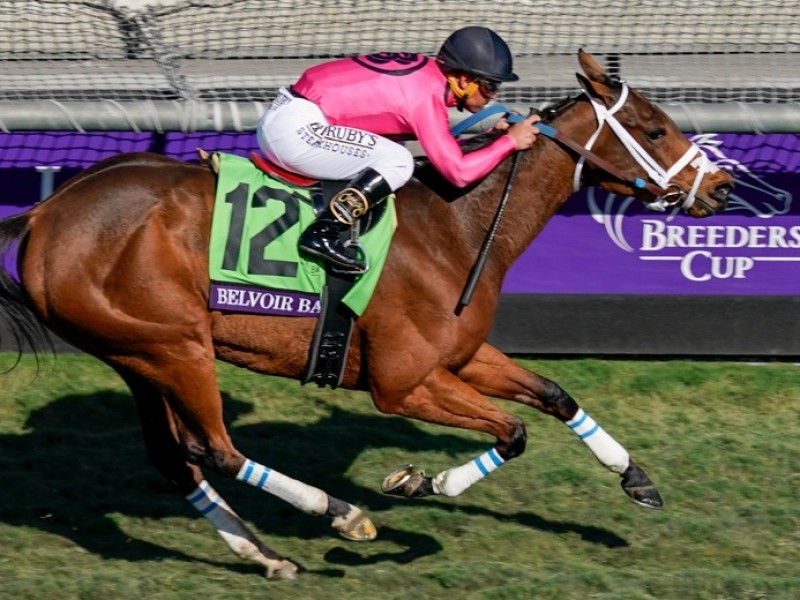 Preview: Breeders' Cup Turf Sprint 2020 (Horses, Race Info,  ...