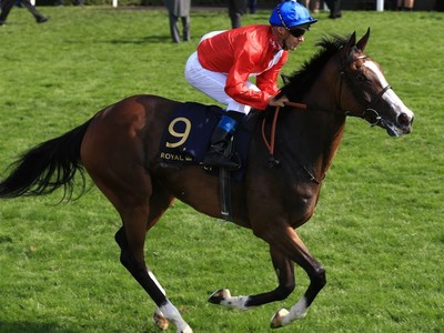 Yorkshire Oaks Image 2