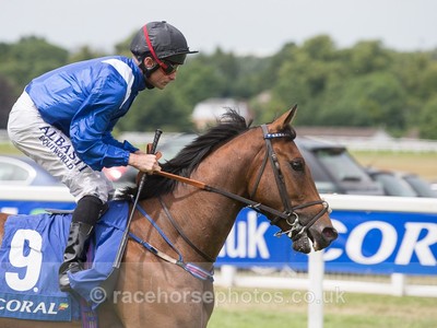 Nunthorpe Stakes Image 11