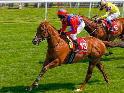 Nunthorpe Stakes Image 2