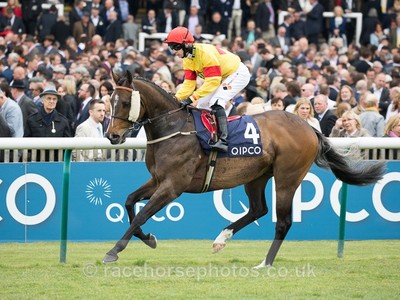 Nunthorpe Stakes Image 8