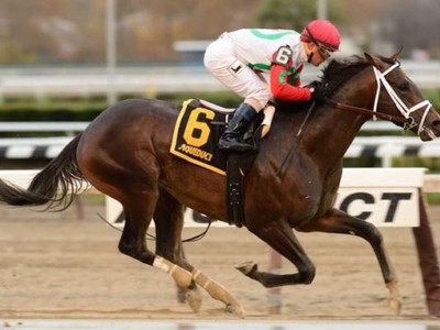 Preview: Trainer Steve Asmussen Hoping For A Woodward Hat-Tr ... Image 3