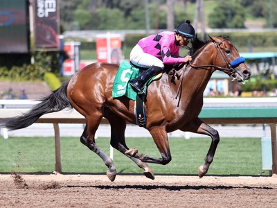 Review: West Coast Steps Into Arrogate’s Footsteps During Tr ... Image 1