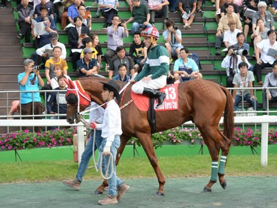 Preview &amp; Trifecta - Korean Triple Crown winner Power Blade  ... Image 1