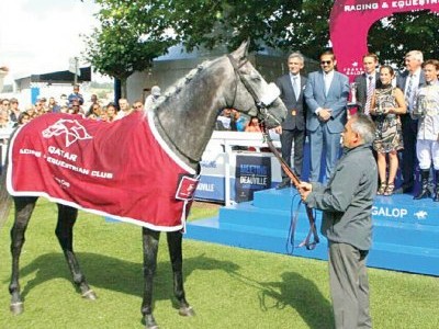 PREVIEW &amp; TRIFECTA - Tayf Remains Favourite in The Arabian W ... Image 1