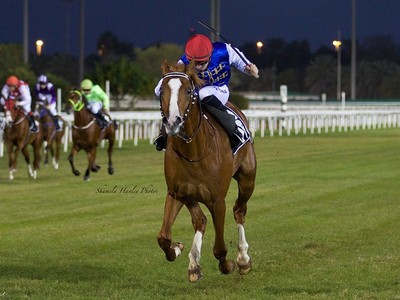 PREVIEW &amp; TRIFECTA - Tayf Remains Favourite in The Arabian W ... Image 2