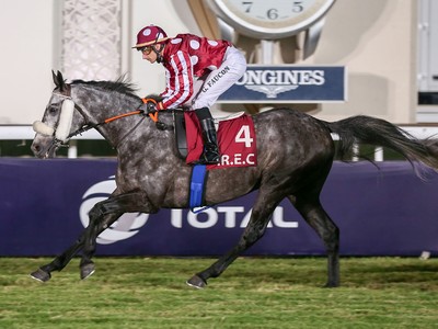 PREVIEW &amp; TRIFECTA - Tayf Remains Favourite in The Arabian W ... Image 6