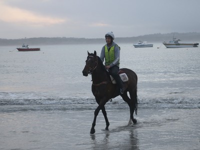 In Conversation with James Heddo, Australian Turf Club Image 2