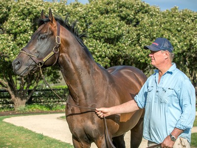 In-Conversation with Harry Mitchell, Yarraman Park Image 2