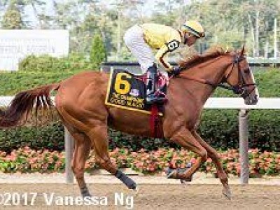 Preview &amp; Trifecta - Breeders' Cup Juvenile Image 3