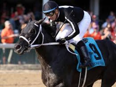 Preview &amp; Trifecta - Breeders' Cup Juvenile Image 2