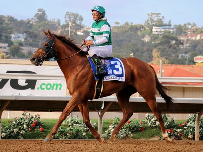 Preview &amp; Trifecta - Breeders' Cup Dirt Mile Image 4