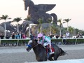 Arrogate’s Sense of Purpose