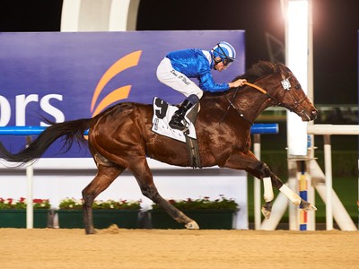 Thunder Snow Headlines Entries In Al Maktoum Challenge Round ... Image 2