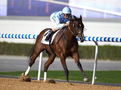 Thunder Snow Headlines Entries In Al Maktoum Challenge Round ... Image 5