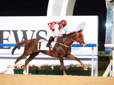 Thunder Snow Headlines Entries In Al Maktoum Challenge Round ... Image 4