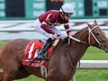 PREVIEW & TRIFECTA - Pegasus World Cup 2018