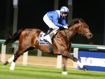 Preview &amp; Trifecta - Gr.2 Al Fahidi Fort Image 2