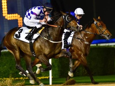 Preview: UAE 2000 Guineas &amp; Mazrat Al Ruwayah Image 1