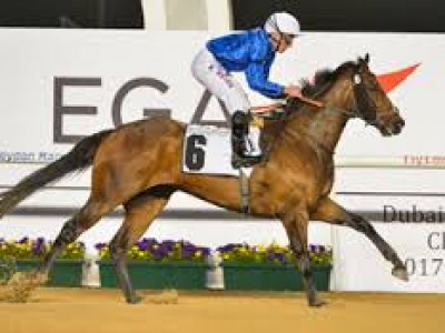 Preview: UAE 2000 Guineas &amp; Mazrat Al Ruwayah Image 2