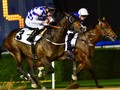 Preview: UAE 2000 Guineas & Mazrat Al Ruwayah