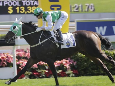 Preview &amp; Trifecta: Hong Kong Gold Cup Image 1