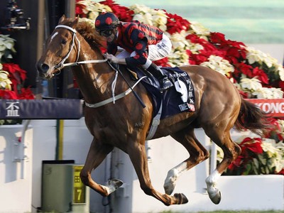 Preview &amp; Trifecta: Hong Kong Gold Cup Image 2