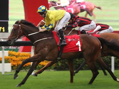 Preview &amp; Trifecta: Hong Kong Gold Cup Image 3